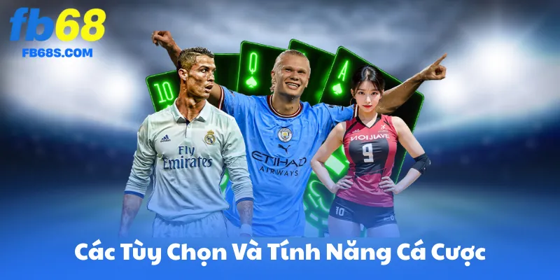 Các Tùy Chọn Và Tính Năng Cá Cược