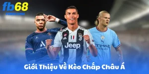 Giới Thiệu Chung Về Kèo Chấp Châu Á FB68
